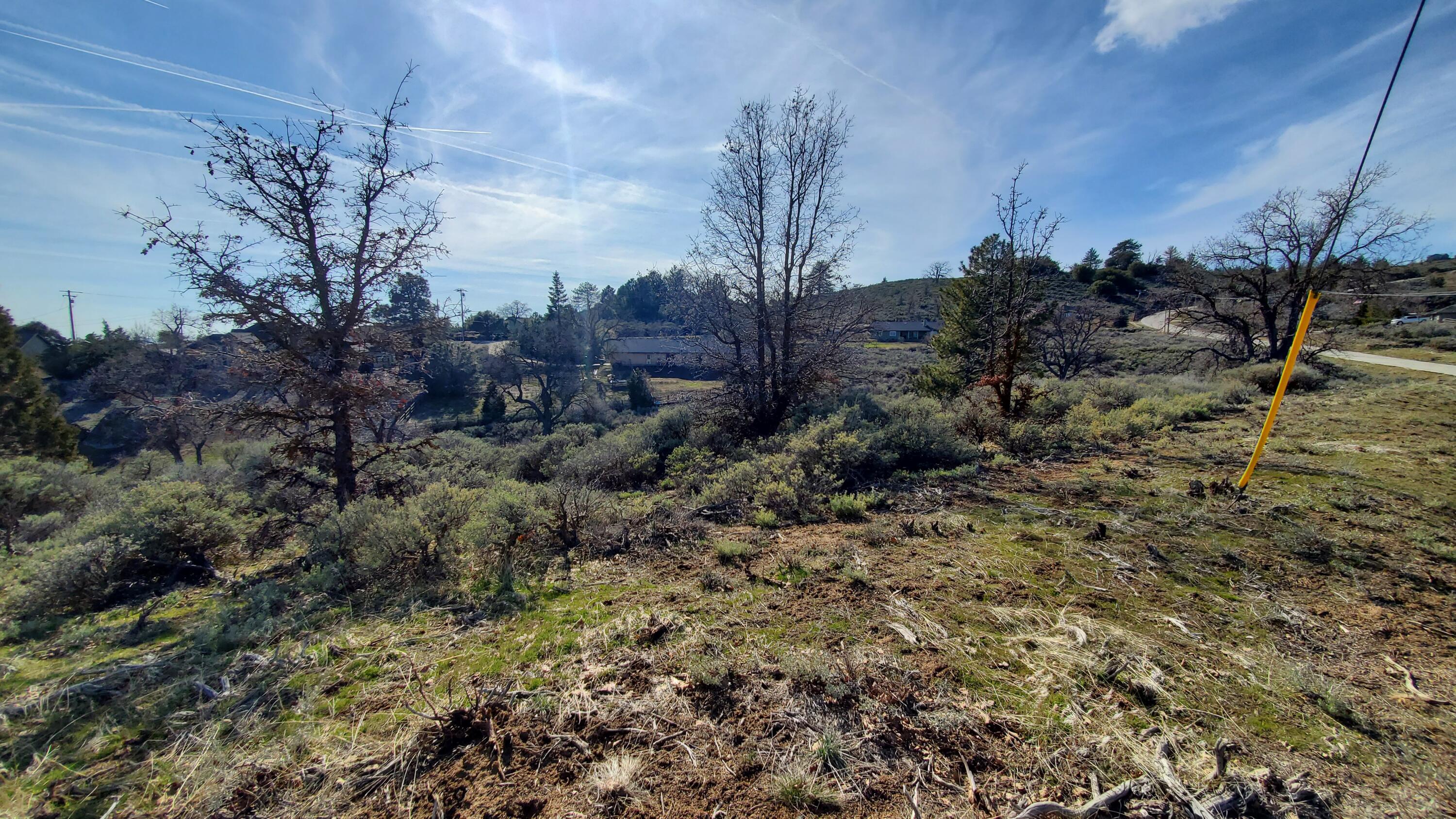 25041 Jacaranda Drive Tehachapi, CA 93561 - Photo 18 of 30 20230405_162259