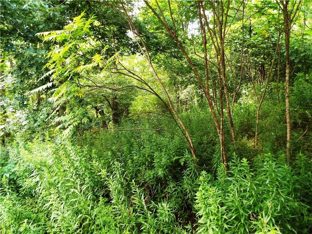 3841 County Highway Cherry Valley, NY 13320 - Photo 14 of 48