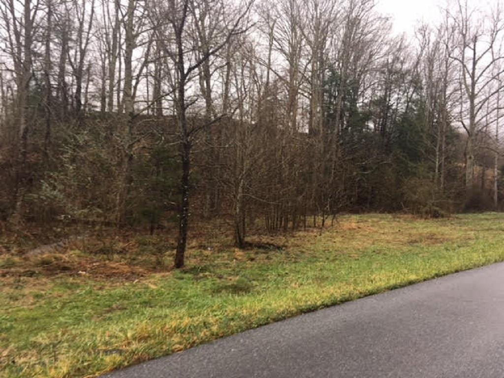 3585 Middle Creek Road Chuckey, TN 37641 - Photo 10 of 13 Photo 10