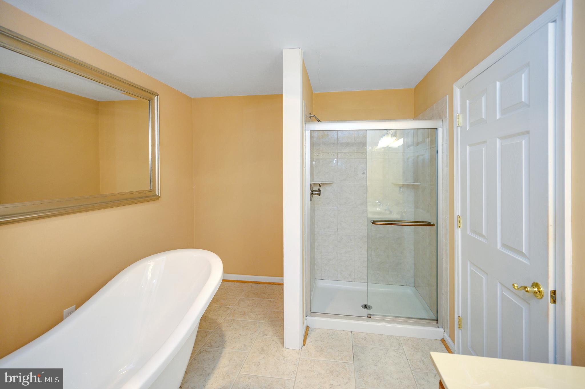 519 Birdie Road Locust Grove, VA 22508 - Photo 18 of 33 Walk in shower