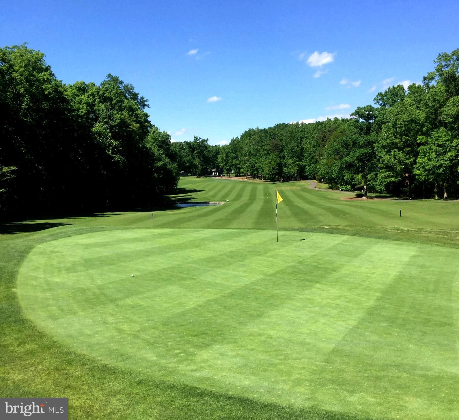 519 Birdie Road Locust Grove, VA 22508 - Photo 30 of 33 Lush golf greens