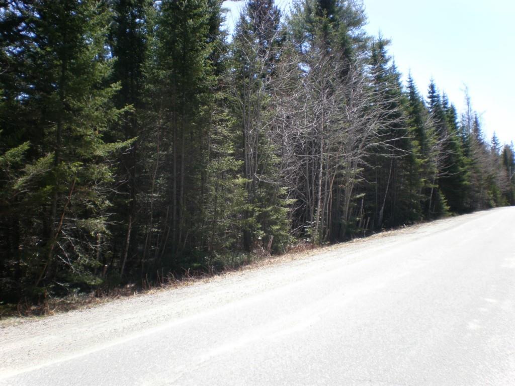 2-b & Look's Point Road Jonesboro, ME 04648 - Photo 5 of 10 Roadside frontage
