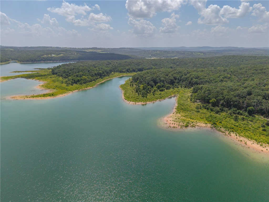 77 Timber Shoals Ranch Lead Hill, AR 72644 - Photo 26 of 29 Expansive lakefront property featuring a forested shoreline and a serene body of water
