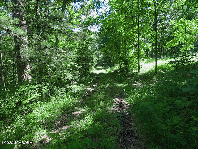 17190 North Ridge Road Harrisburg, MO 65256 - Photo 4 of 12