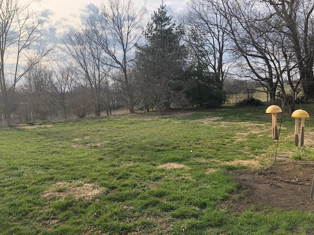 220 Sherman Newtown Road Dry Ridge, KY 41035 - Photo 39 of 50 Gallery Image 39