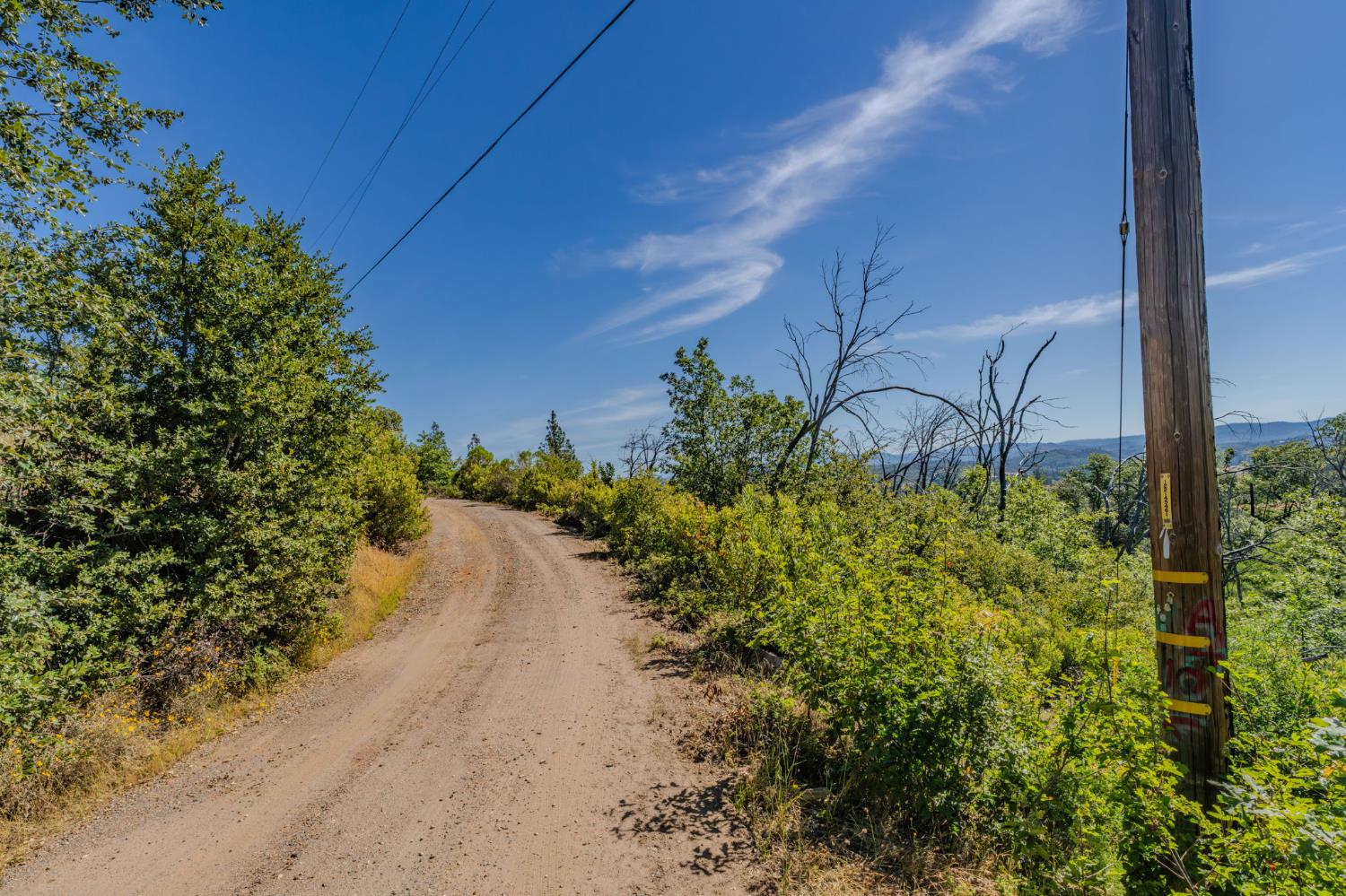 7256 Nikki Mountain Ranch Mountain Ranch, CA 95246 - Photo 6 of 27