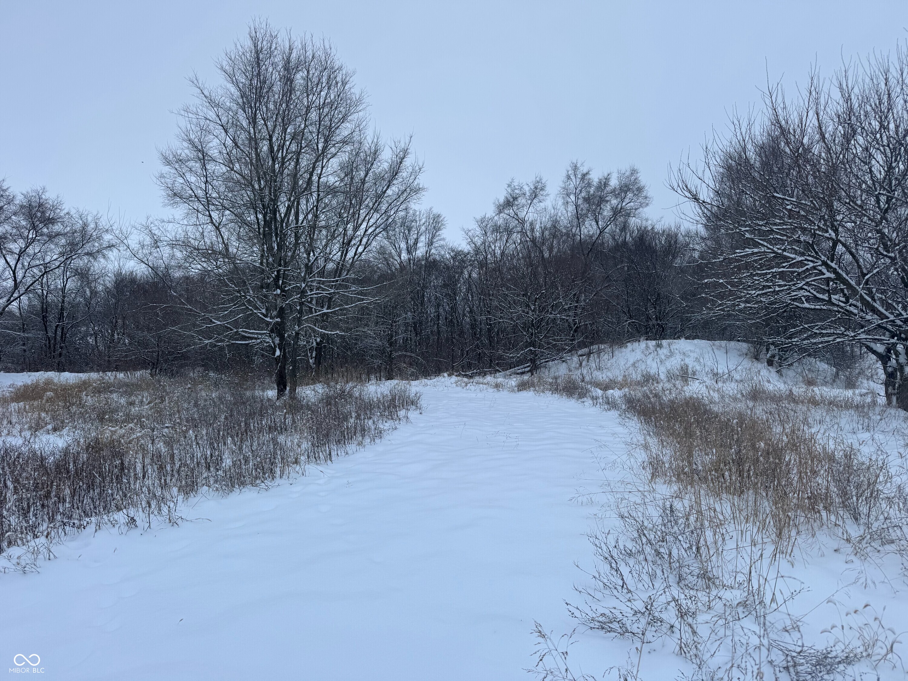 2025 Eger Road Rensselaer, IN 47978 - Photo 23 of 38