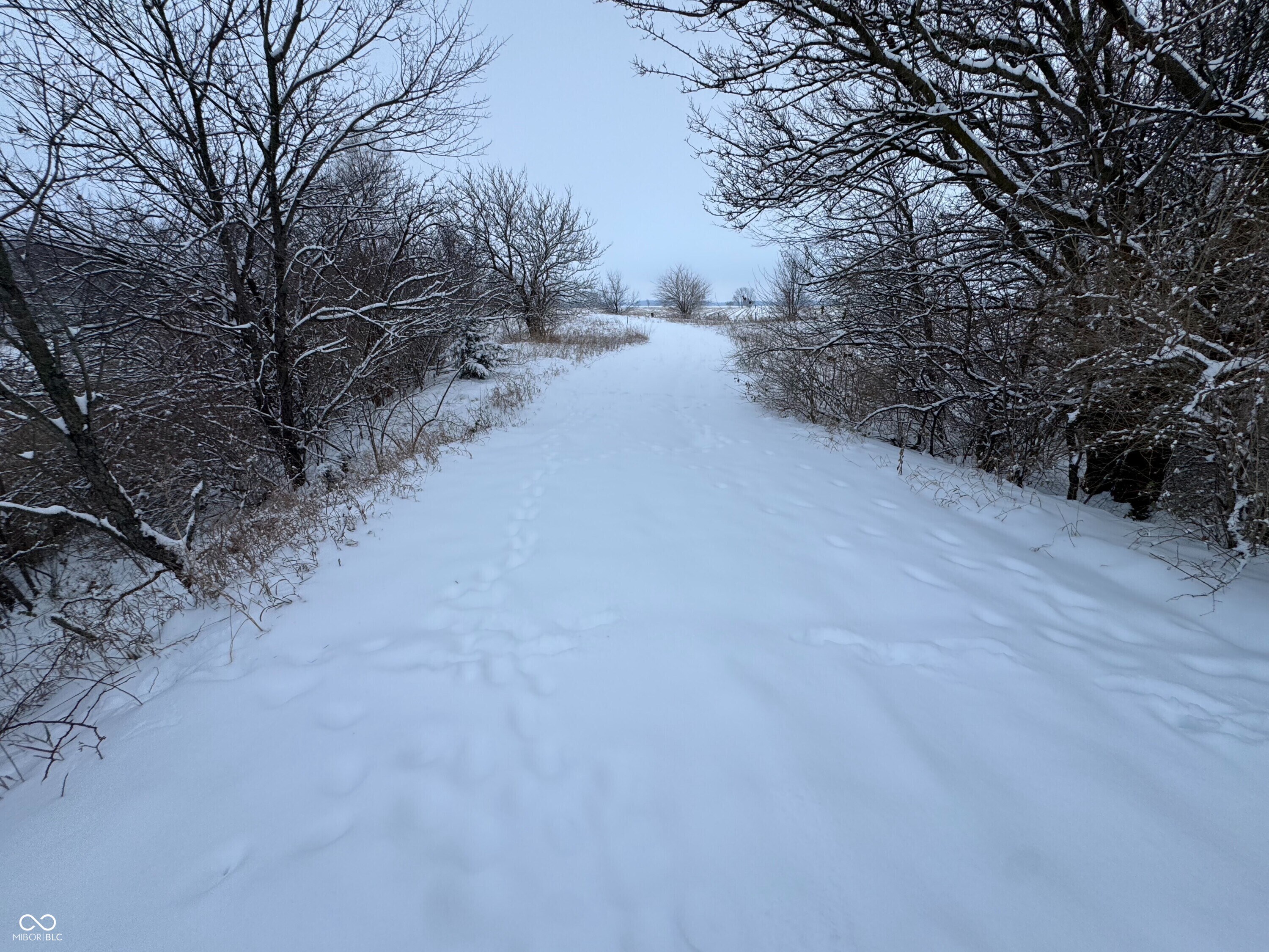 2025 Eger Road Rensselaer, IN 47978 - Photo 26 of 38