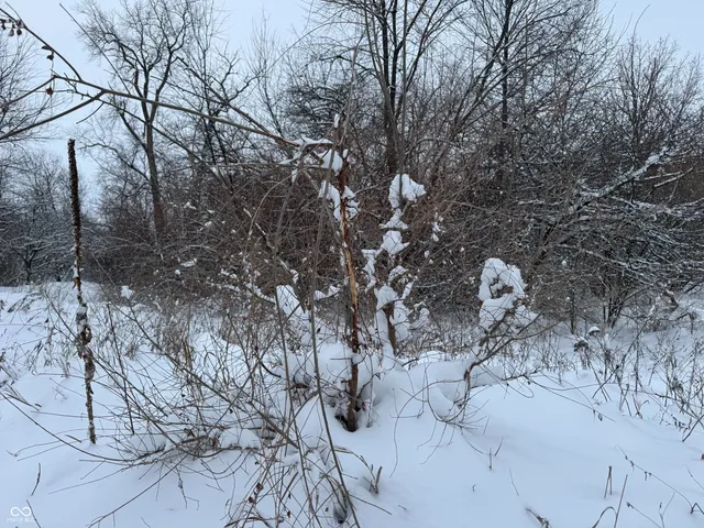 $899,999 | 2025 Eger Road, Rensselaer, IN 47978