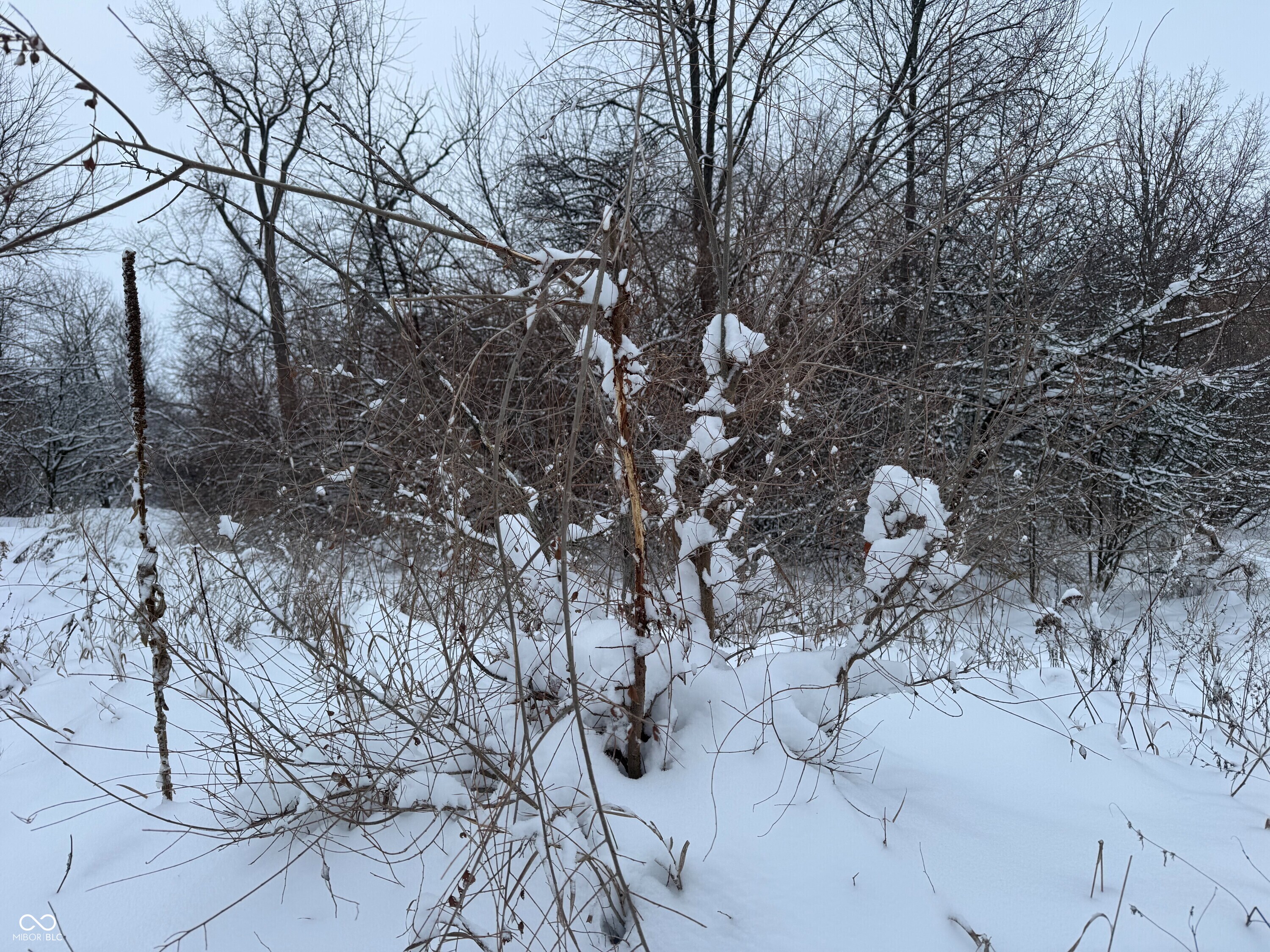 2025 Eger Road Rensselaer, IN 47978 - Photo 35 of 38