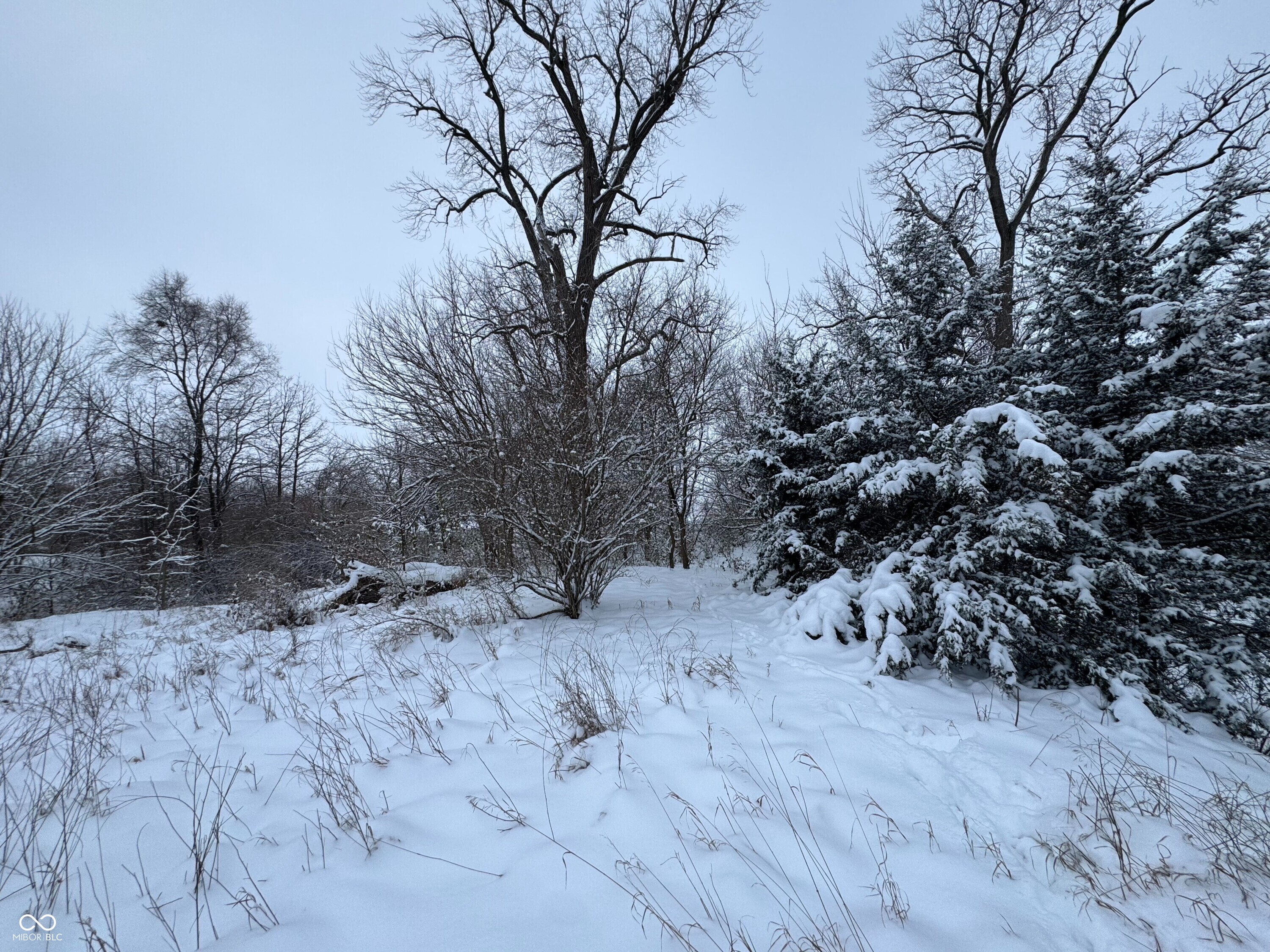 2025 Eger Road Rensselaer, IN 47978 - Photo 37 of 38