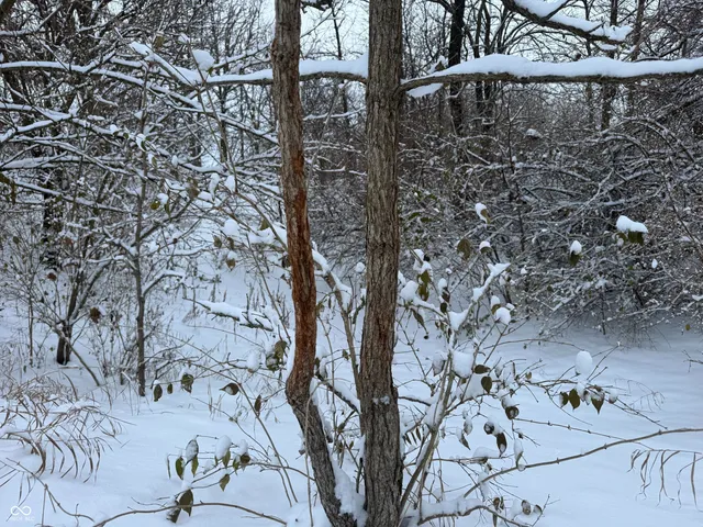 $899,999 | 2025 Eger Road, Rensselaer, IN 47978