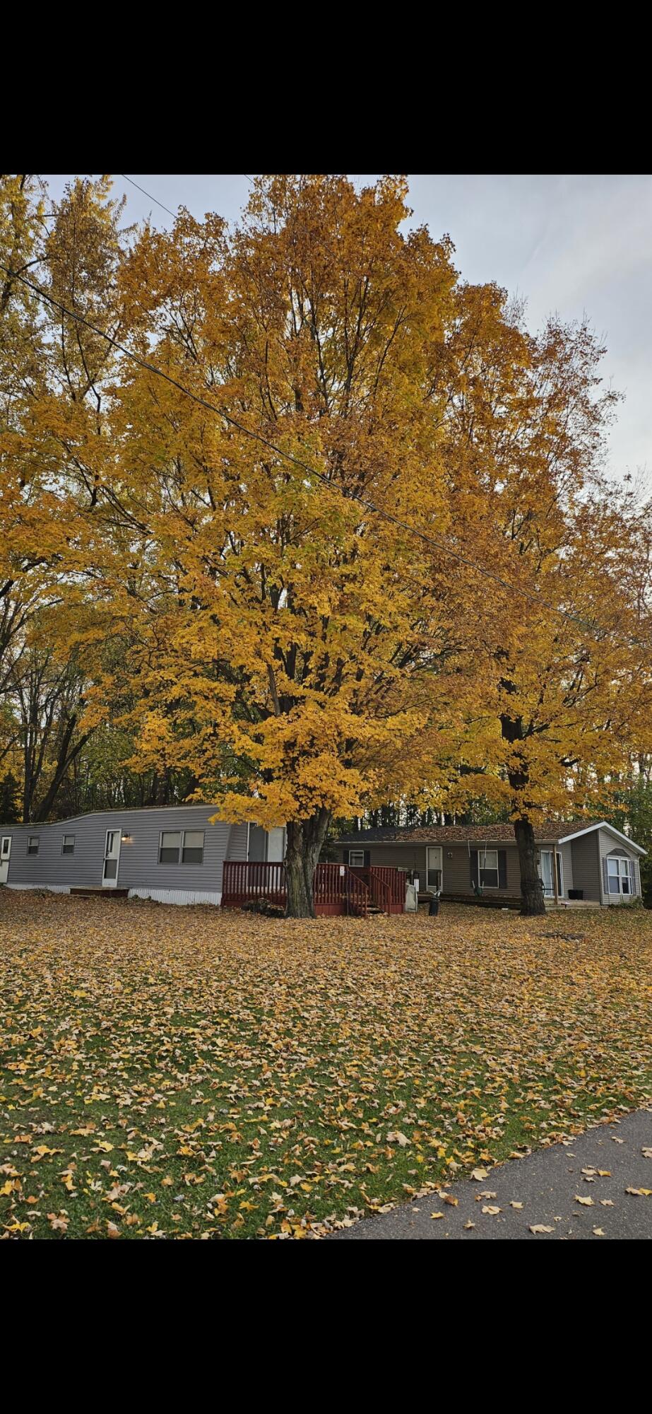 10281 Walnut Drive Three Rivers, MI 49093 - Photo 16 of 17 IMG_0025