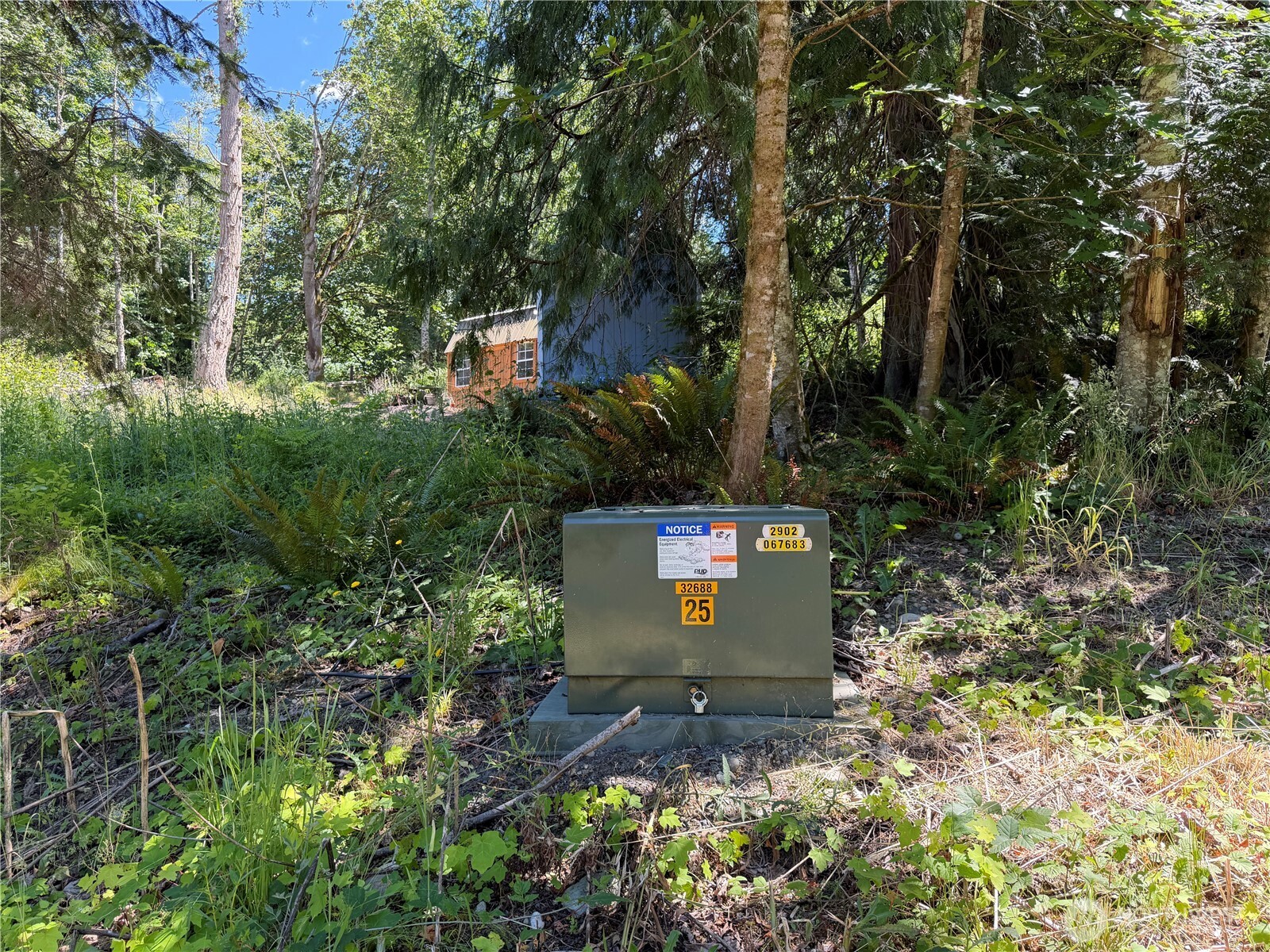 1183 Blyn Springs Road Sequim, WA 98382 - Photo 3 of 37