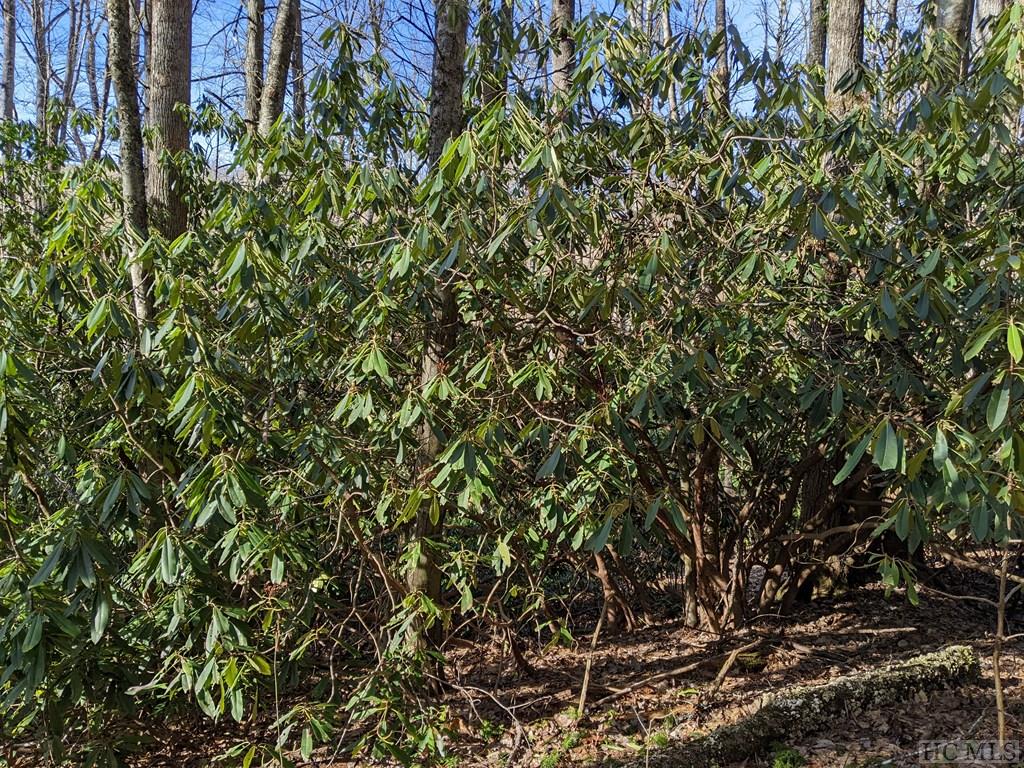 Lot 1 Big Ridge Road Glenville, NC 28736 - Photo 2 of 11 Gallery Image 2
