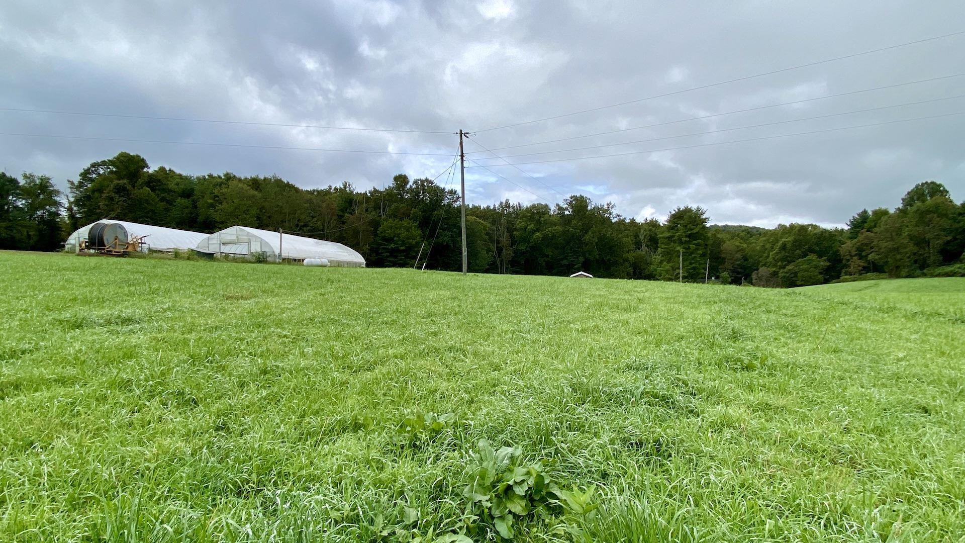 Tbd Tbd Worrell Memorial Road Laurel Fork, VA 24352 - Photo 10 of 22 Gallery Image 10