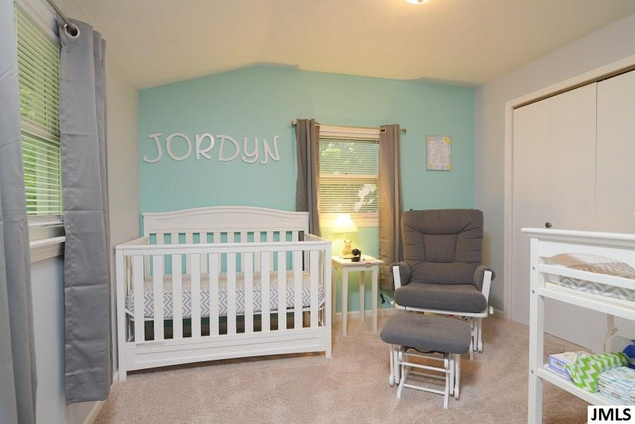 111 Clinton Macon Road Clinton, MI 49236 - Photo 21 of 31 Photo 21