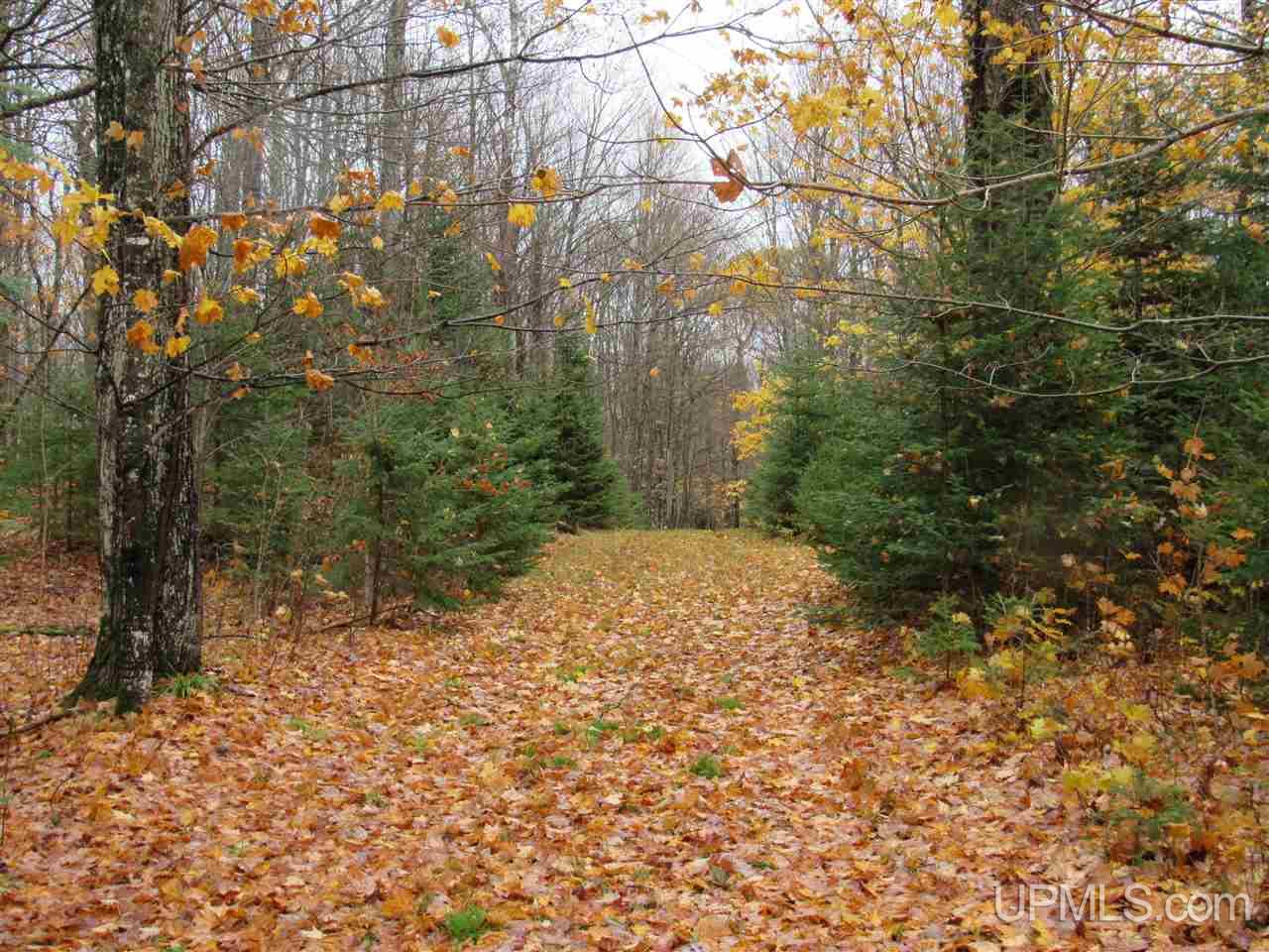 River-connors Corner Road Iron River, MI 49935 - Photo 43 of 49