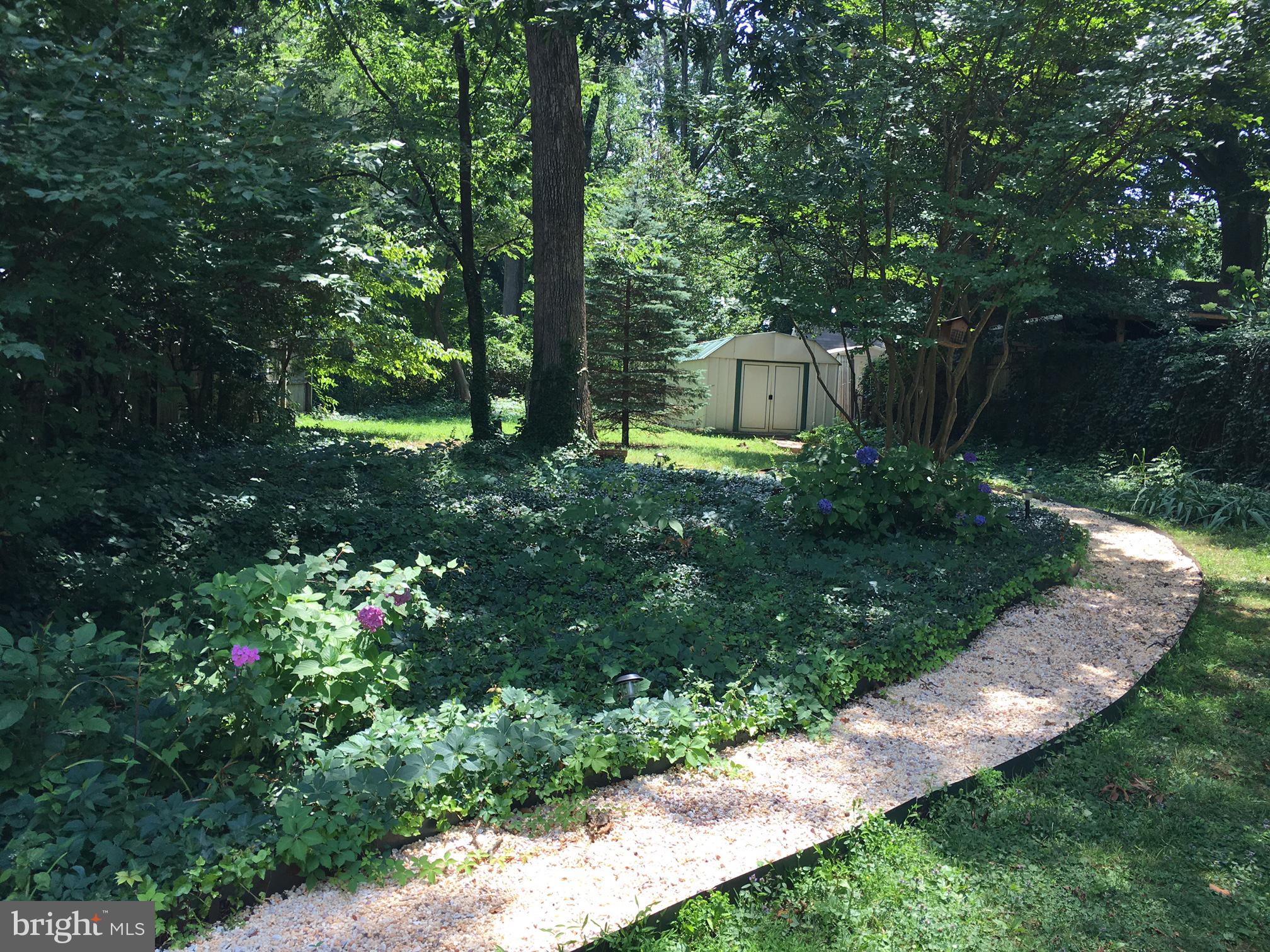 6410 Stoneham Road Bethesda, MD 20817 - Photo 4 of 20 a view of a back yard