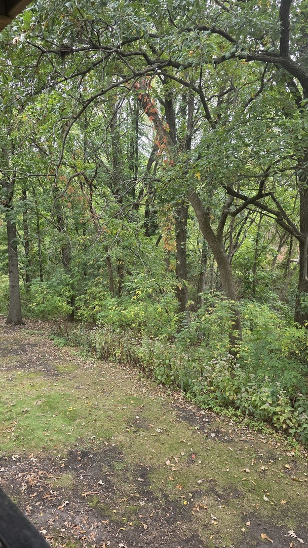 1469 Midland Court Joliet, IL 60436 - Photo 22 of 22