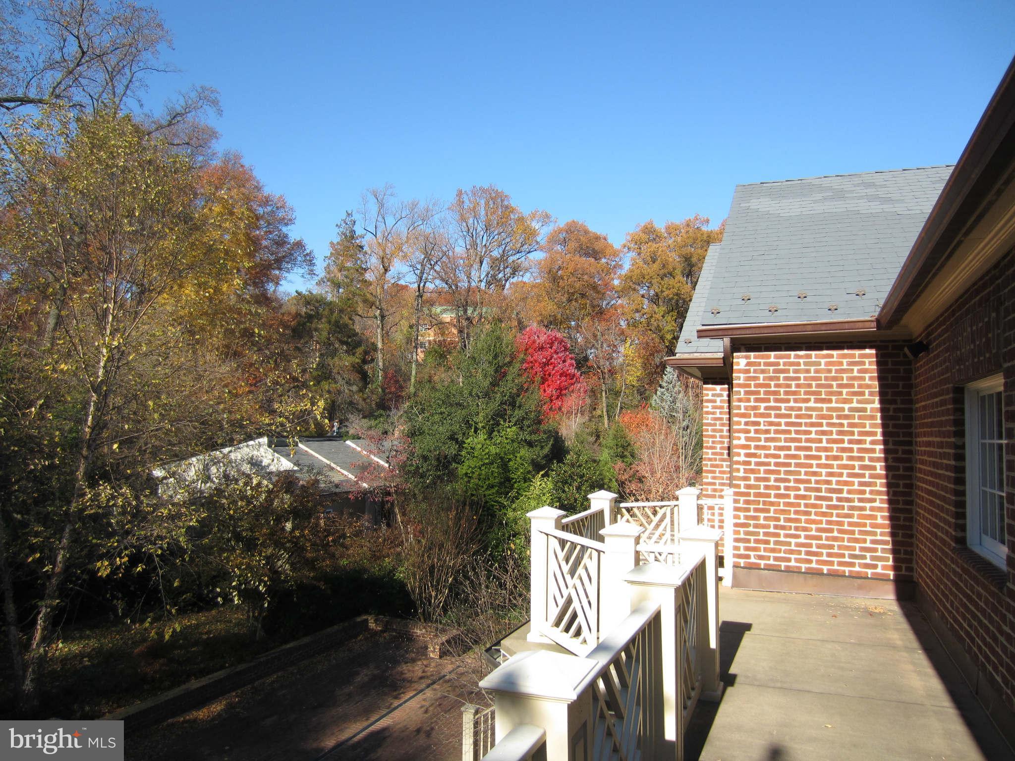 1910 Russell Road Alexandria, VA 22301 - Photo 23 of 25 a view of a house with a backyard and a tree