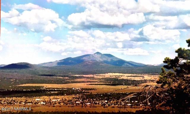 827 West Eagle Nest Road Williams, AZ 86046 - Photo 1 of 6 East View