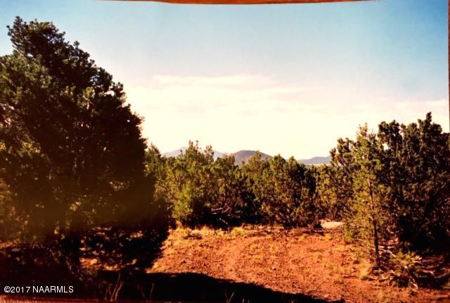 827 West Eagle Nest Road Williams, AZ 86046 - Photo 5 of 6 Entrance