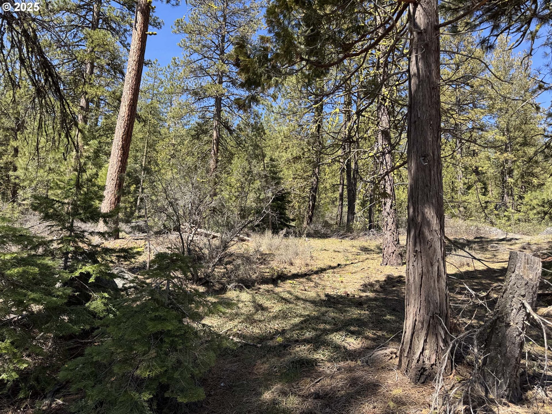 Horned Owl Lane Bonanza, OR 97623 - Photo 5 of 44