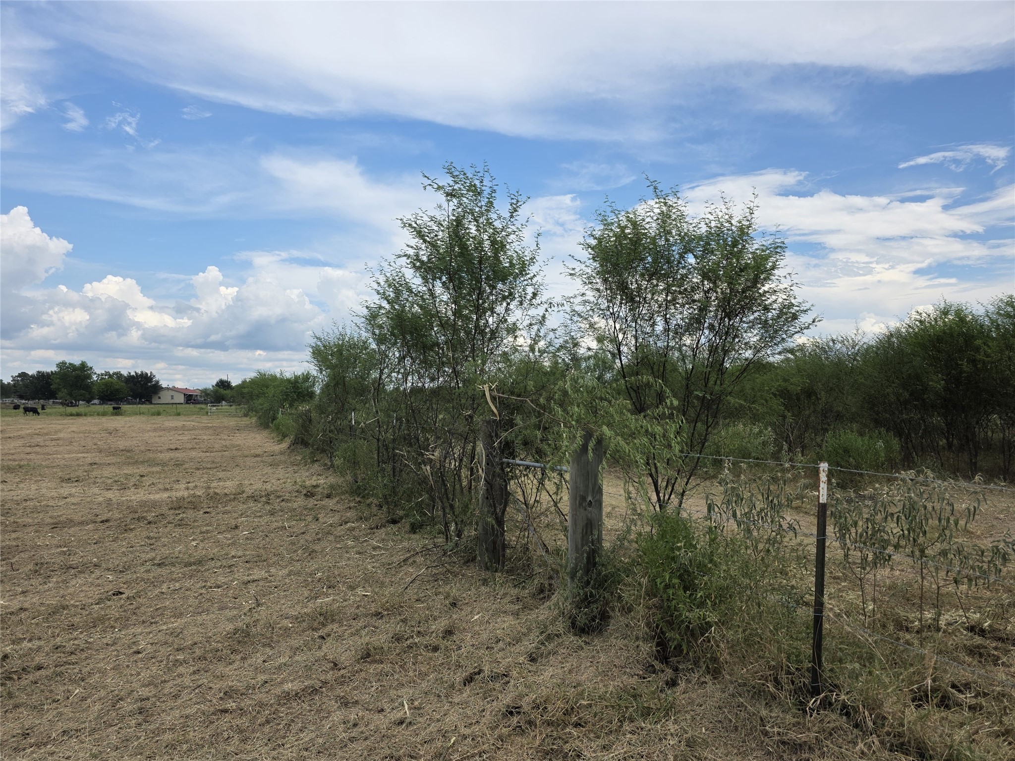 36847 Richard Frey Road, Unit 2 Hempstead, TX 77445 - Photo 7 of 19 a view of a yard with a tree
