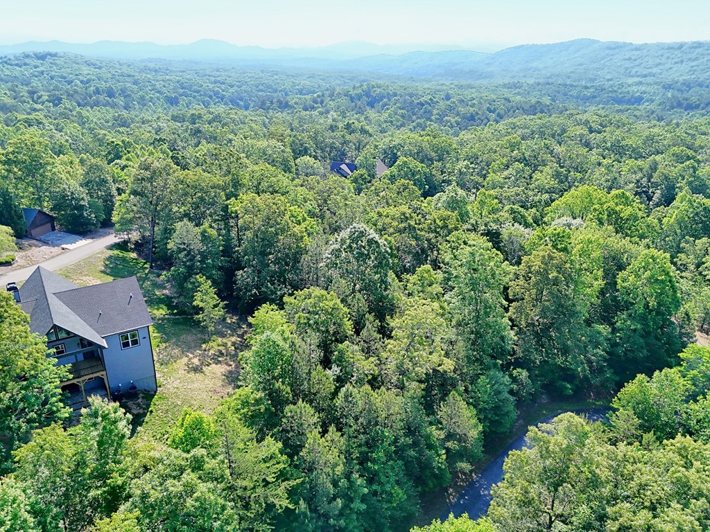 383 Rustic Barn Trail Morganton, GA 30560 - Photo 66 of 66