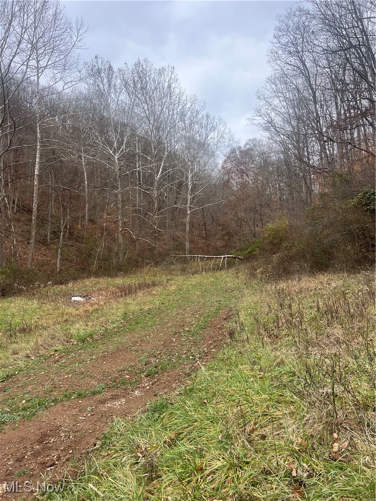 4355 Walker Road Walker, WV 26180 - Photo 10 of 11 View of local wilderness
