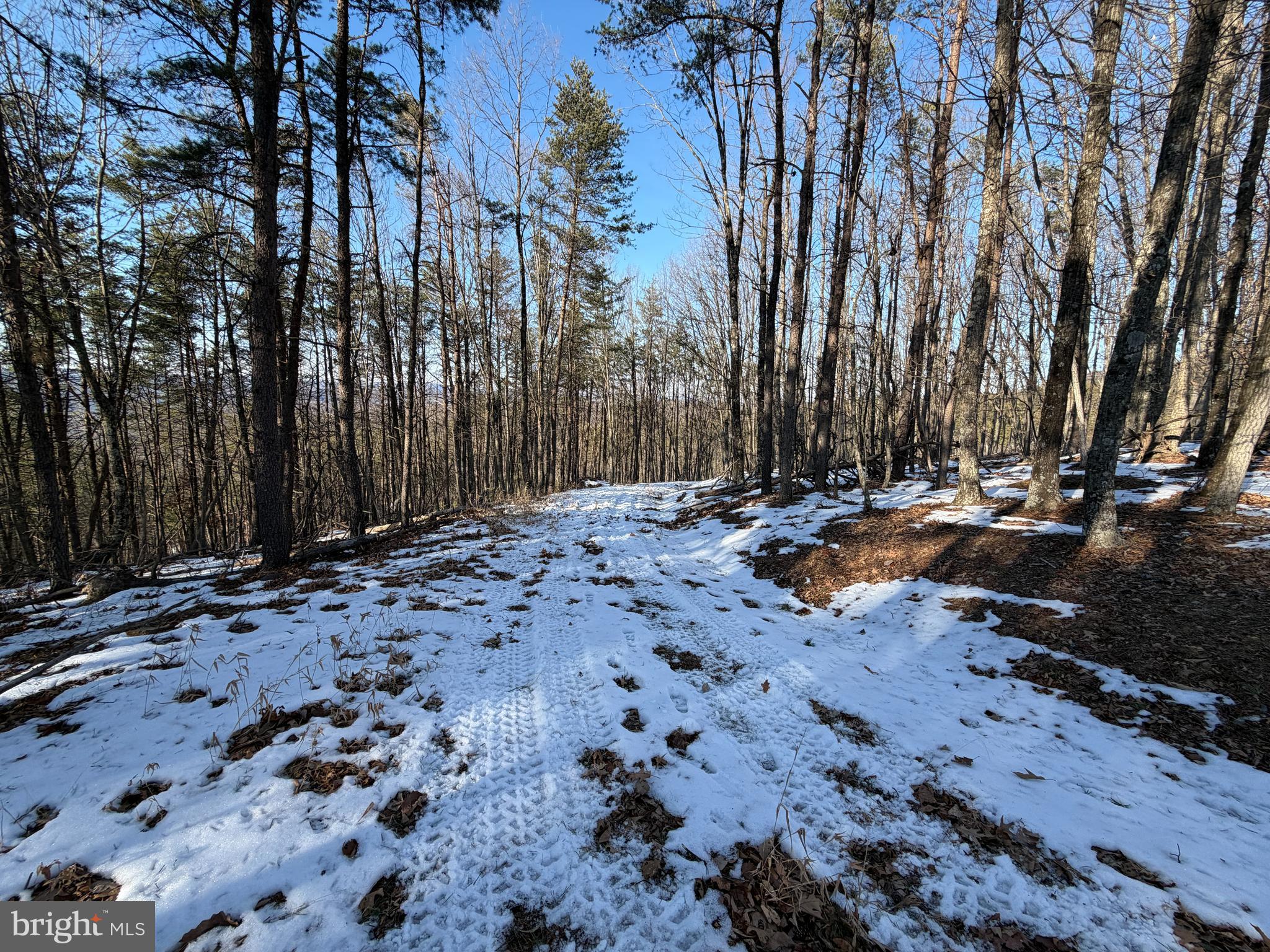 24 Ridges @ South Branch Romney, WV 26757 - Photo 19 of 71 Gallery Image 19