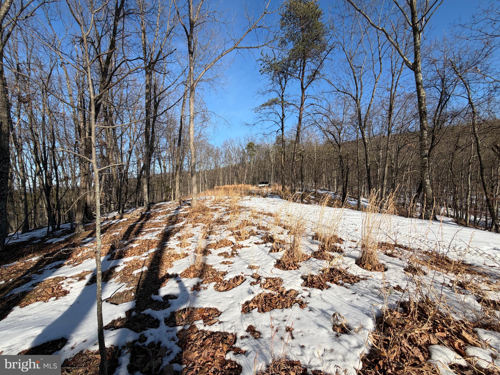 24 Ridges @ South Branch Romney, WV 26757 - Photo 24 of 71 Gallery Image 24