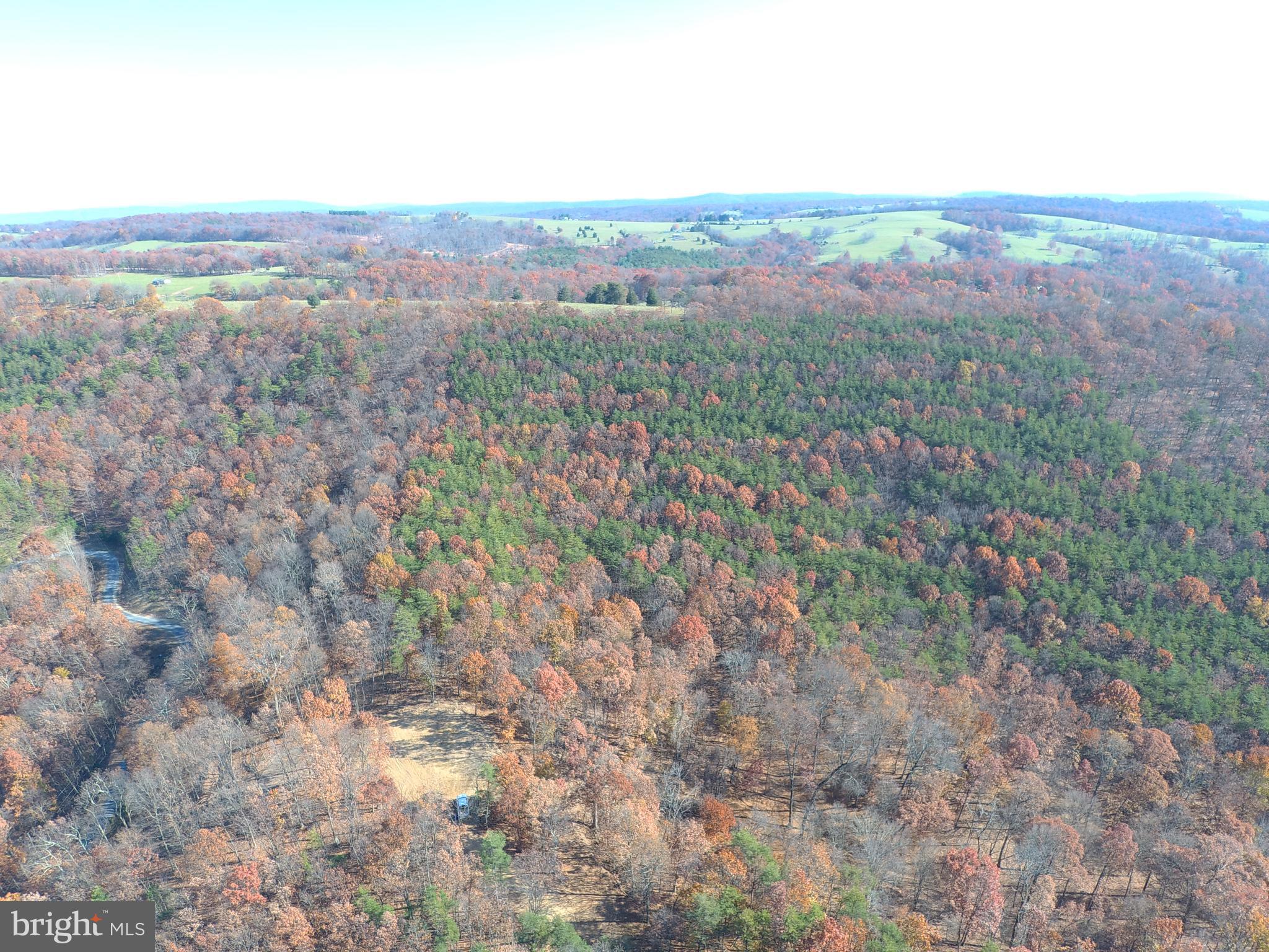 24 Ridges @ South Branch Romney, WV 26757 - Photo 48 of 71 Gallery Image 48