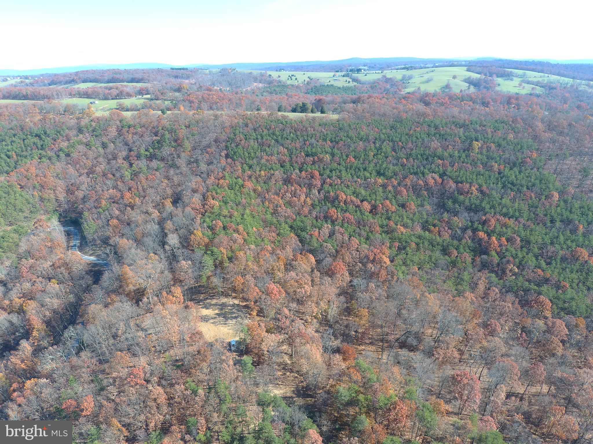 24 Ridges @ South Branch Romney, WV 26757 - Photo 49 of 71 Gallery Image 49