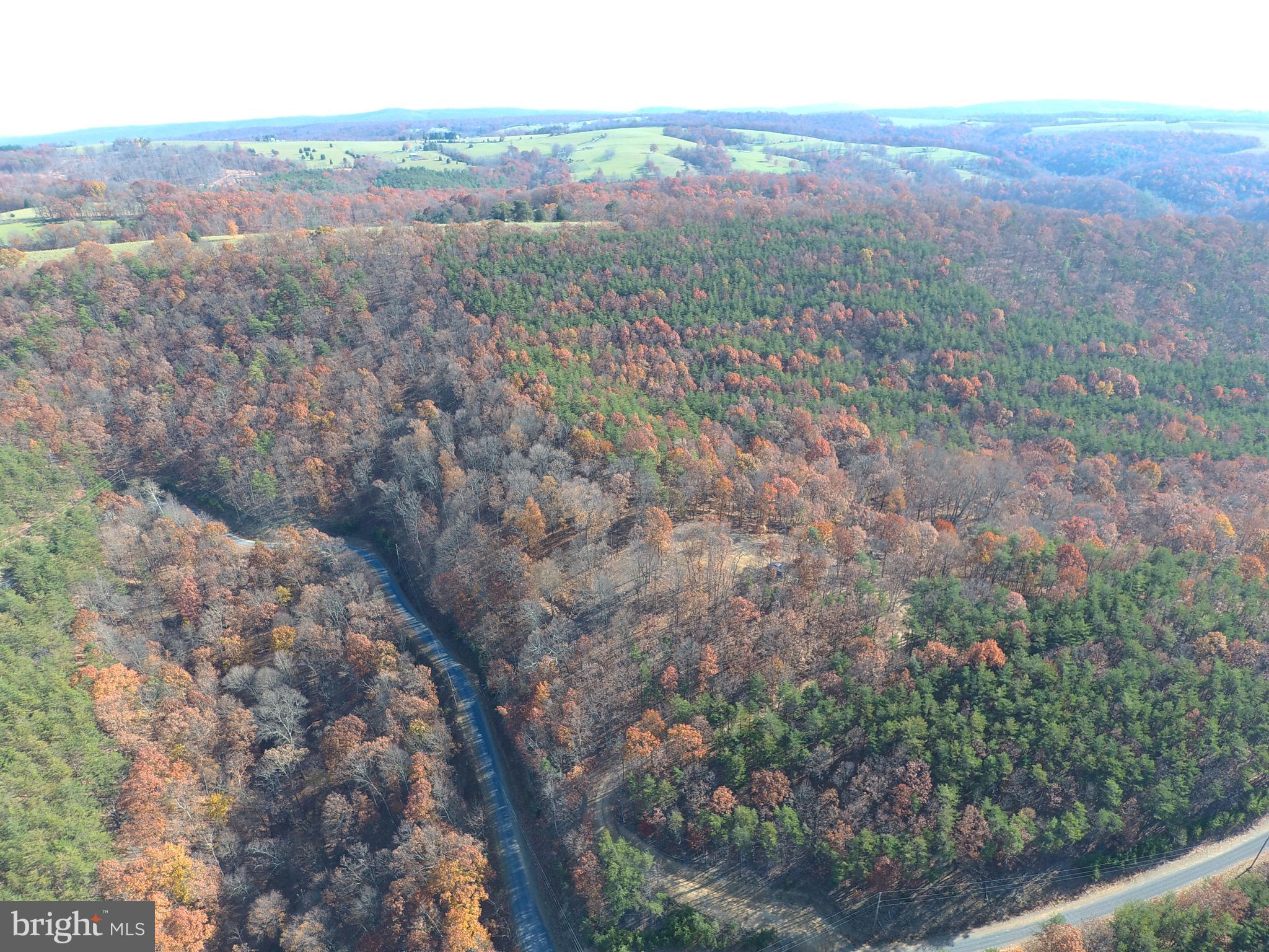 24 Ridges @ South Branch Romney, WV 26757 - Photo 51 of 71 Gallery Image 51