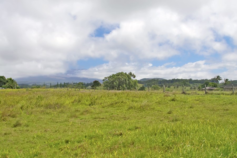 1440 Kaupakalua Road Haiku, HI 96708 - Photo 13 of 19 a view of a city with an ocean