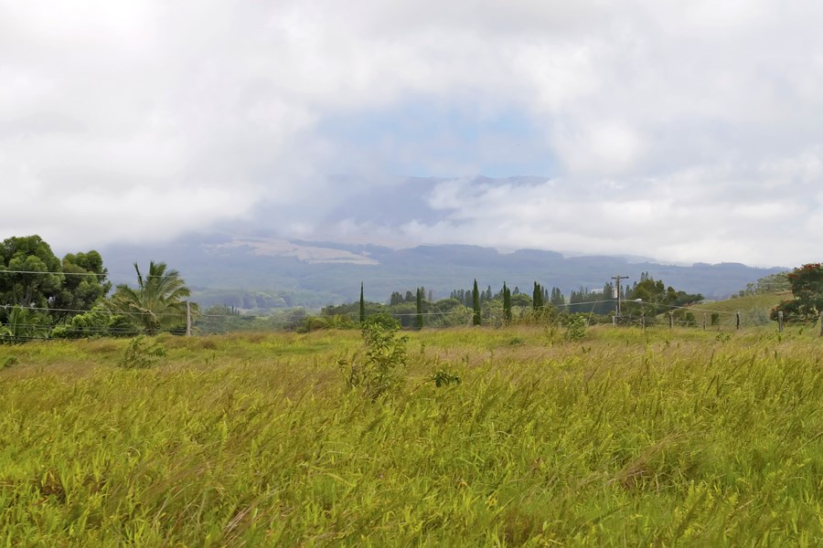 1440 Kaupakalua Road Haiku, HI 96708 - Photo 5 of 19 a view of an ocean from a yard