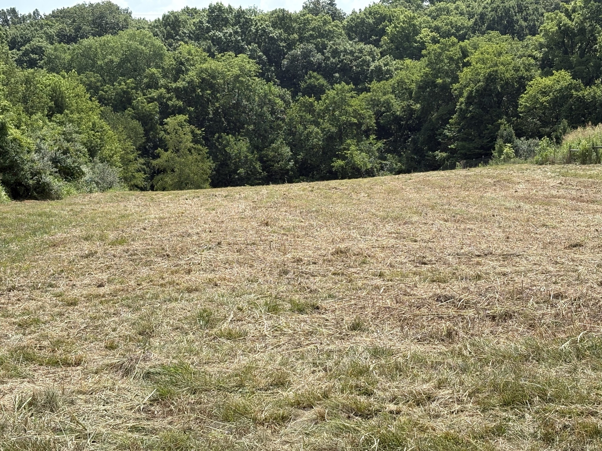 0 Pepper Road Franklin, KY 42134 - Photo 3 of 3 a view of a yard