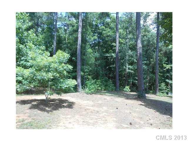 3671 East North Corner Road Lancaster, SC 29720 - Photo 15 of 16 a view of a trees and yard