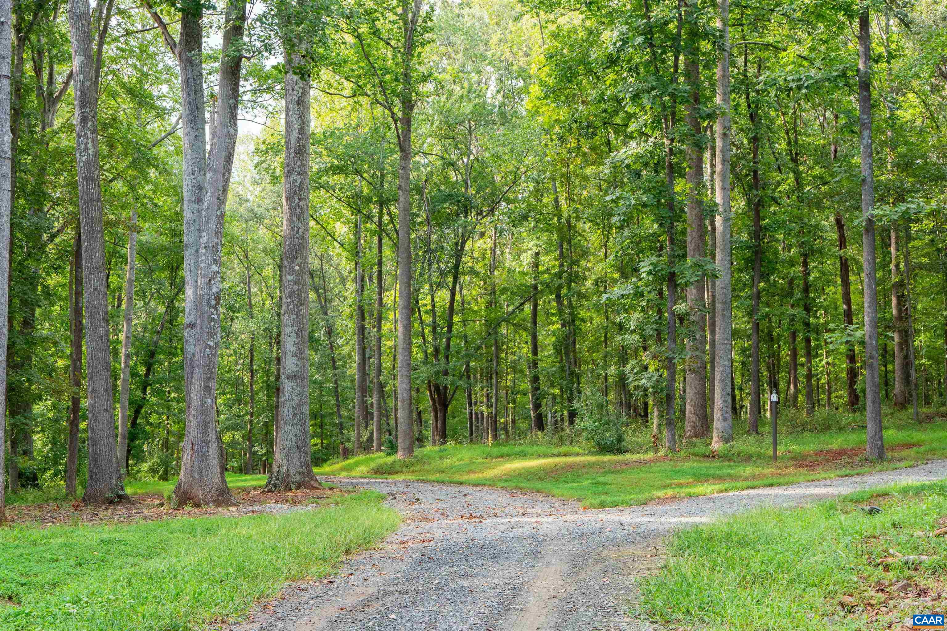 0 Dick Woods Road Charlottesville, VA 22903 - Photo 17 of 23 Gallery Image 17