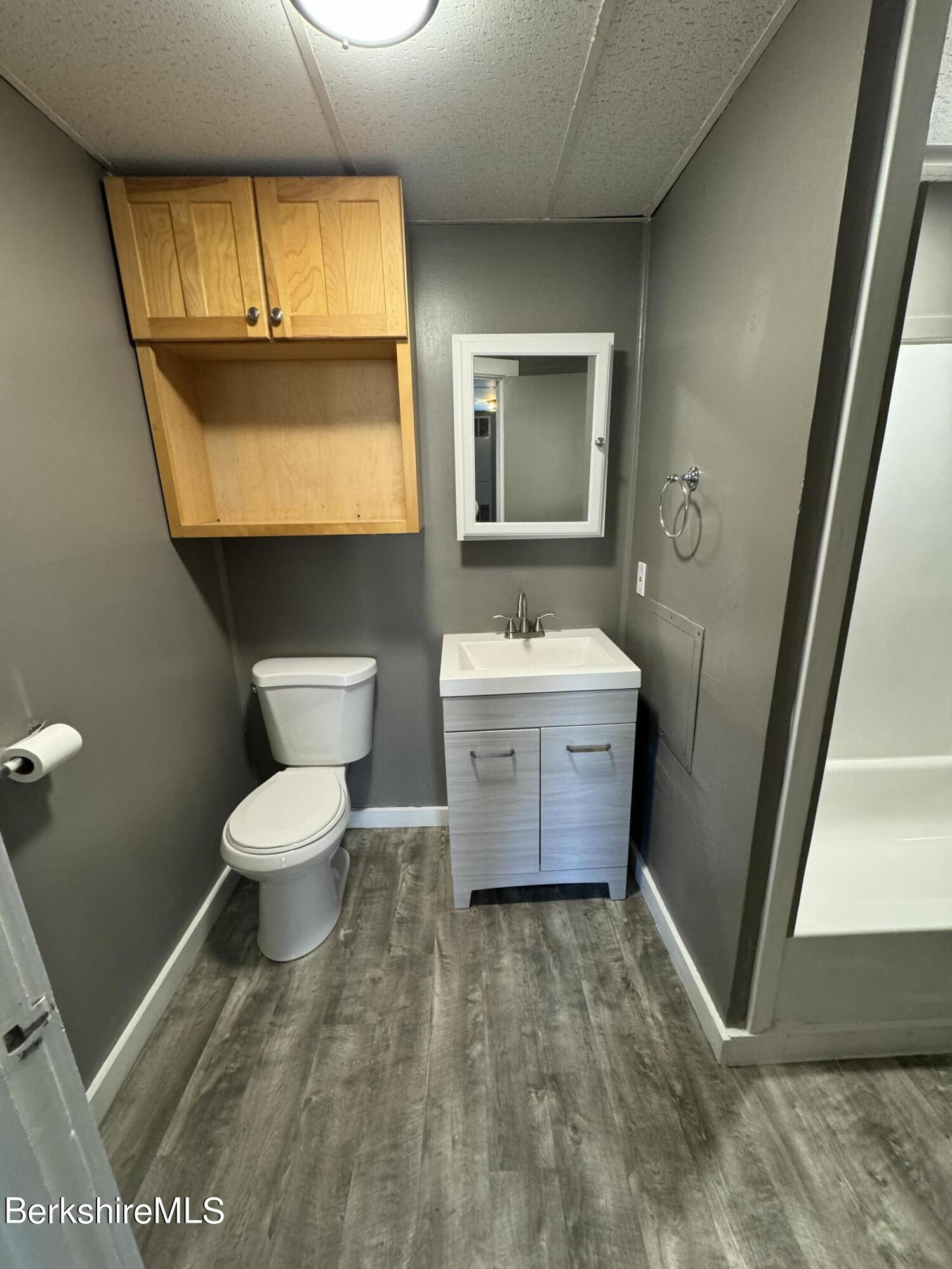 88 Summer Street, Unit 3C Adams, MA 01220 - Photo 4 of 11 a bathroom with a toilet sink and mirror
