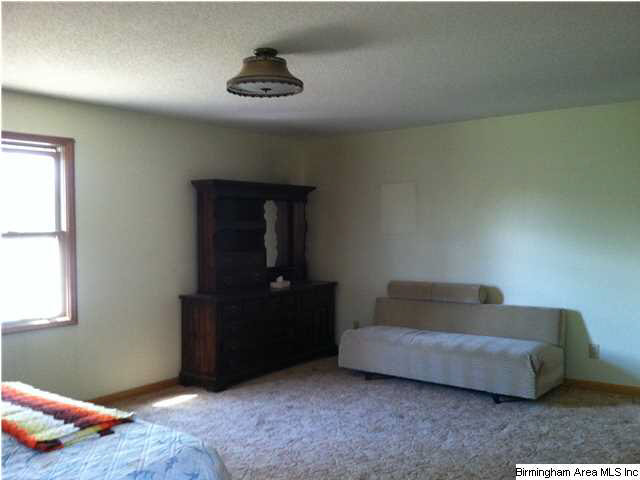 90 County Road 195 Clanton, AL 35046 - Photo 9 of 16