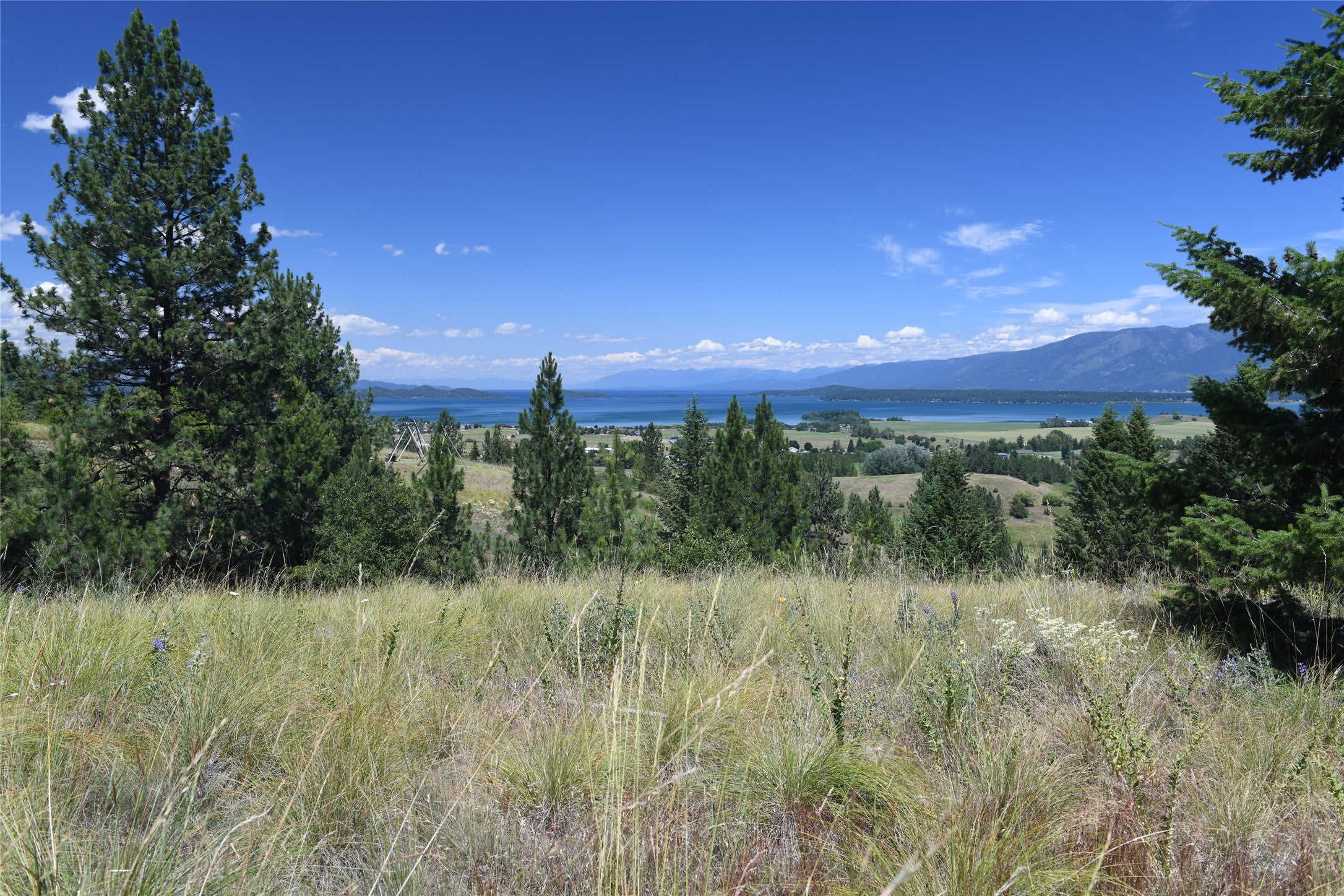 37024 Schafer Road Polson, MT 59860 - Photo 7 of 29 Gallery Image 7