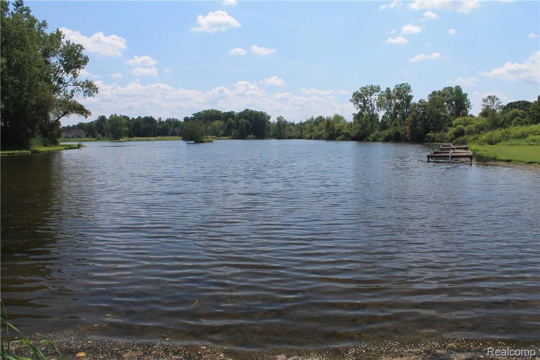 11517 Erin's Way Romeo, MI 48065 - Photo 16 of 16 cindy lake.jpg