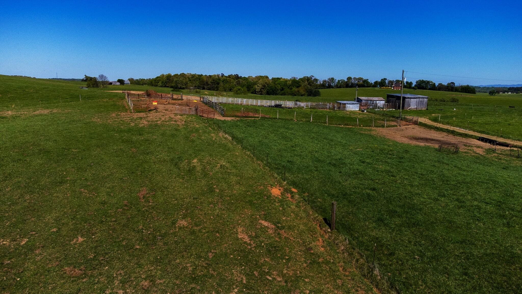 3030 Falcon Road White Pine, TN 37890 - Photo 36 of 44 Gallery Image 36
