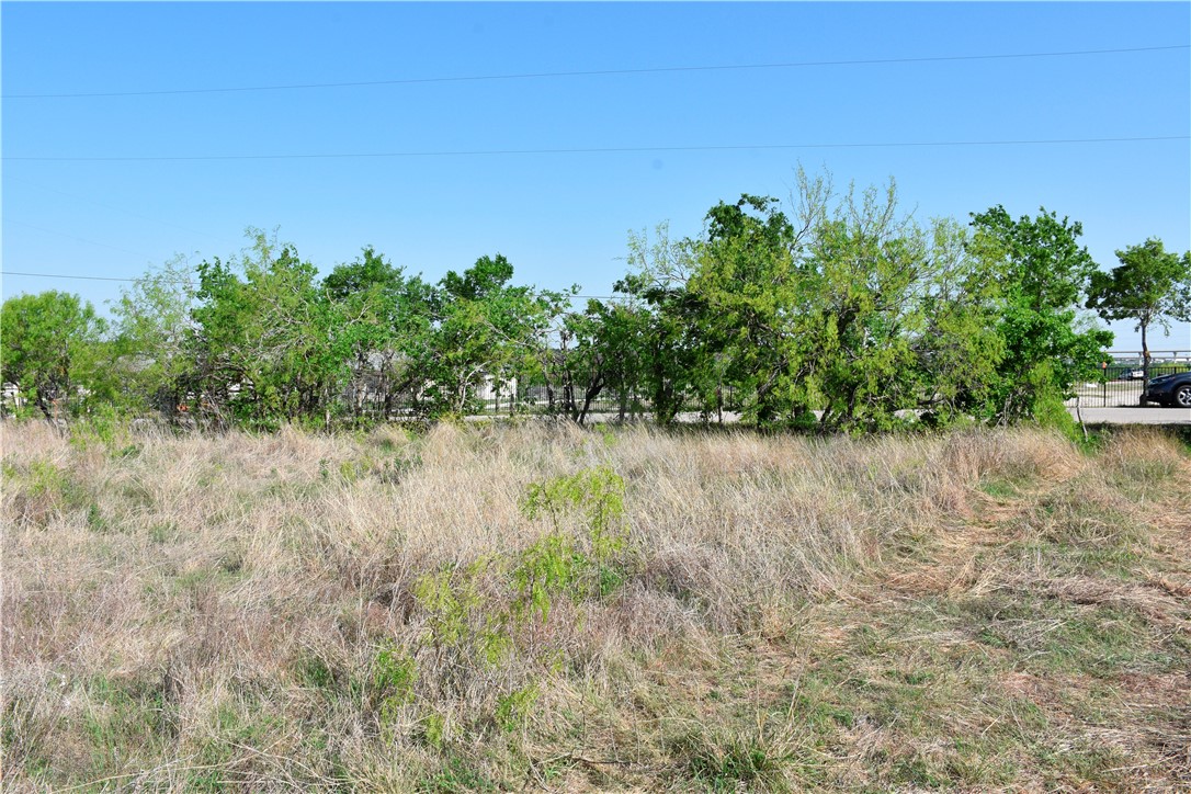 a view of a lake with a yard