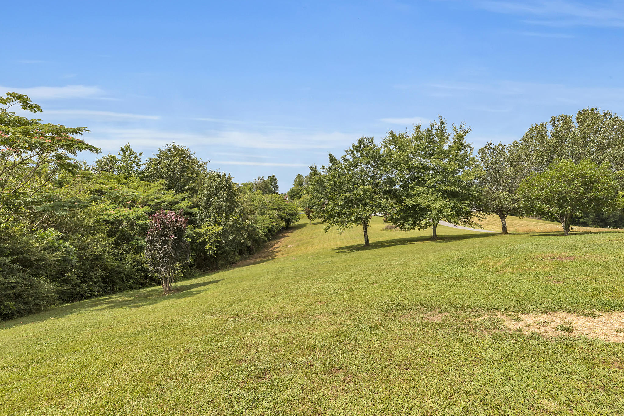 398 Summit Ridge Road Dunlap, TN 37327 - Photo 33 of 40 4T1A2744