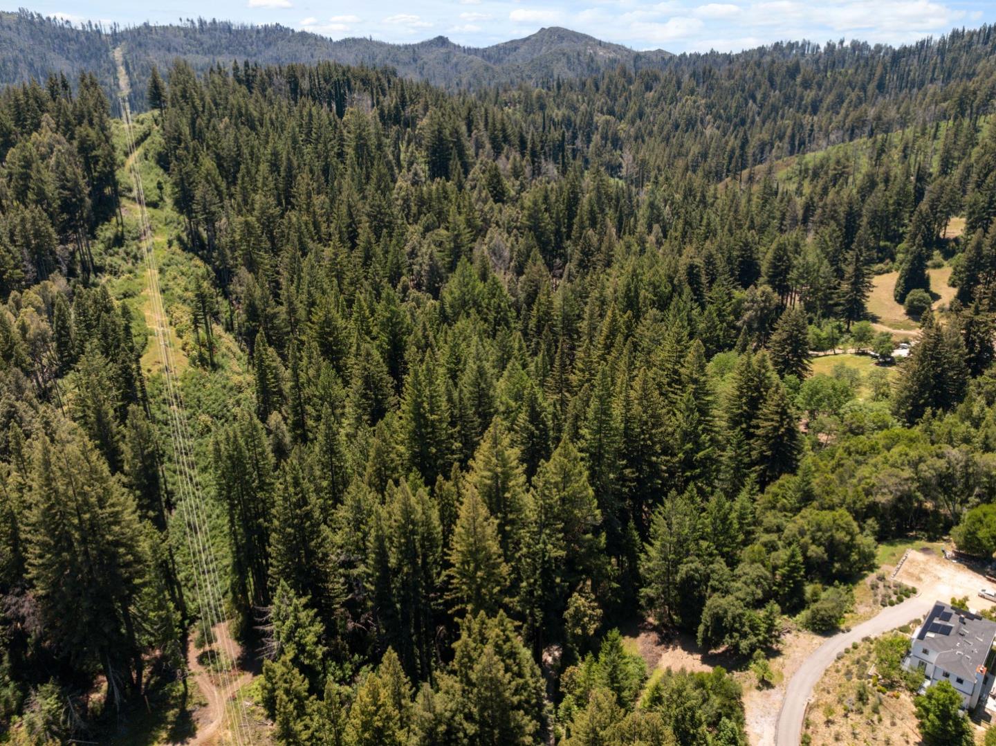 Lot 17 Branson Ranch Boulder Creek, CA 95006 - Photo 43 of 45 a view of a forest with a mountain in the background