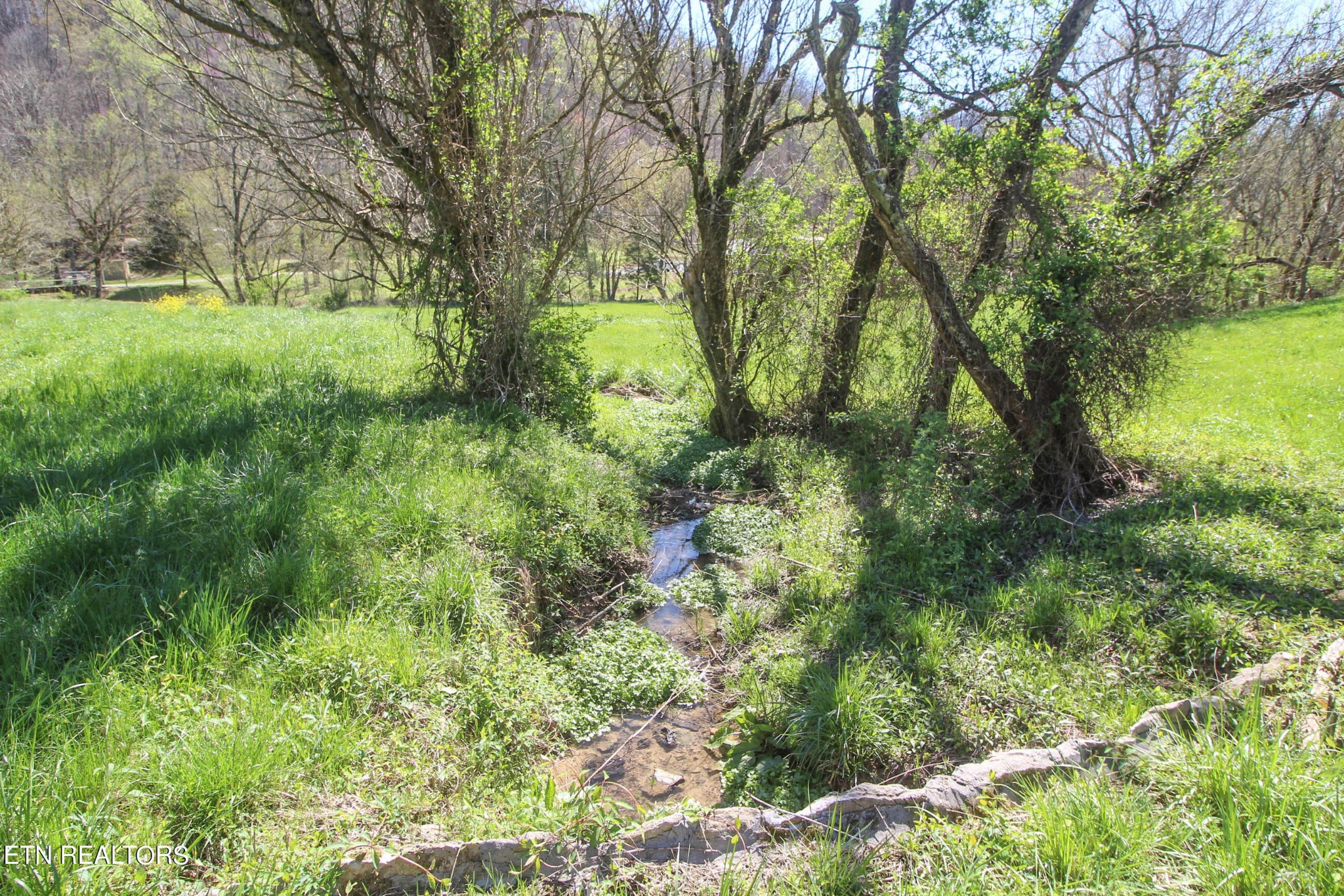 0 Fall Creek Road Maynardville, TN 37807 - Photo 14 of 21 Gallery Image 14